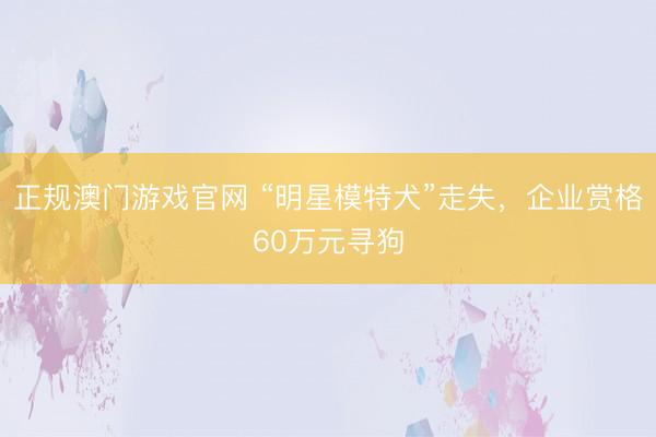 正规澳门游戏官网 “明星模特犬”走失，企业赏格60万元寻狗