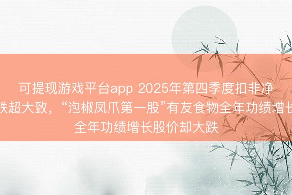 可提现游戏平台app 2025年第四季度扣非净利润同比大跌超大致，“泡椒凤爪第一股”有友食物全年功绩增长股价却大跌